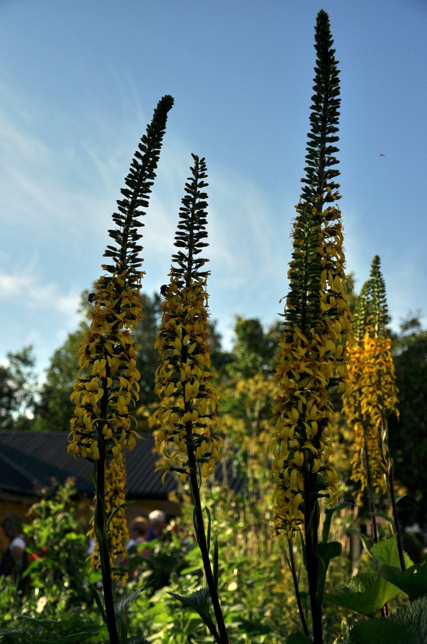 20100803-0048